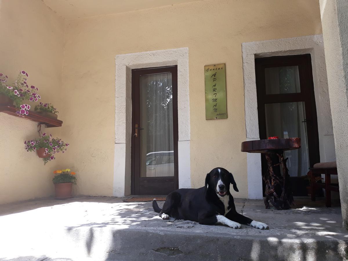 Apartman Centar Cetinje Kültér fotó