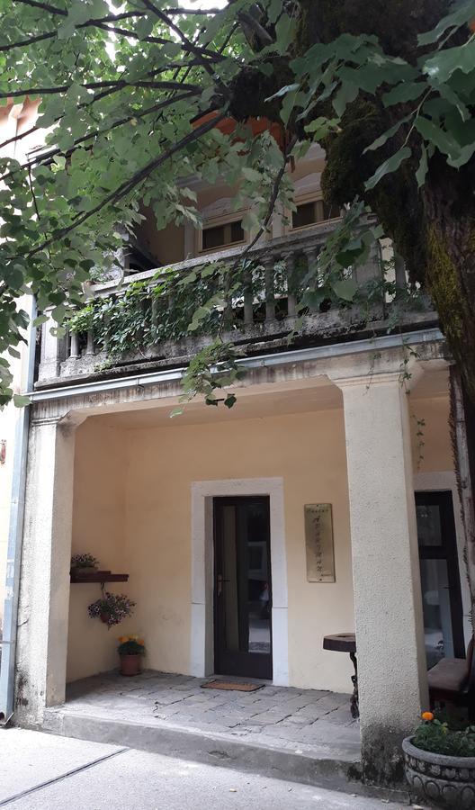 Apartman Centar Cetinje Kültér fotó